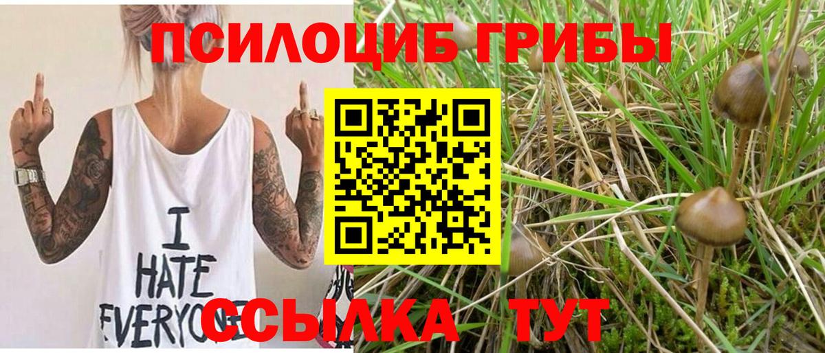 Галлюциногенные грибы MAGIC MUSHROOMS Благодарный