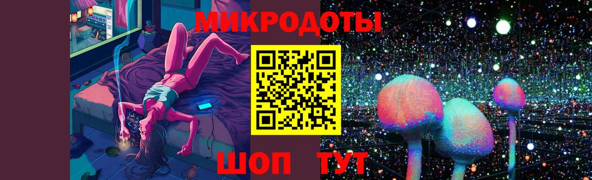 где найти   Псилоцибиновые грибы прущие грибы  Вход с VPN  Благодарный  Псилоцибиновые грибы Cubensis 